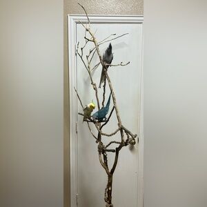 Bird play stand